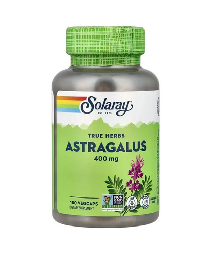 Astragalus Root 400mg