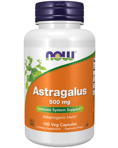 Astragalus