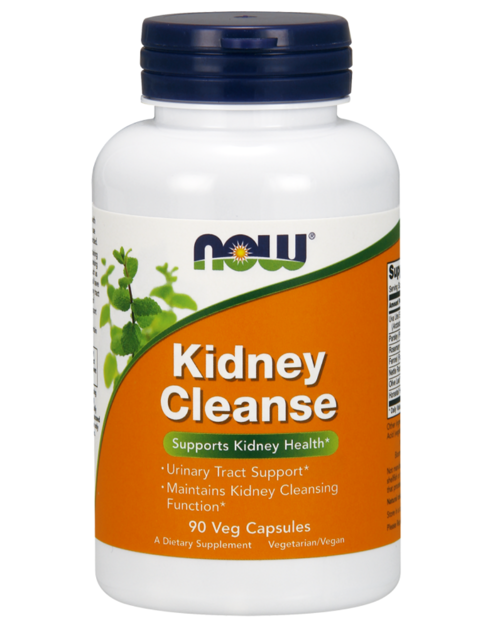 Kidney Cleanse