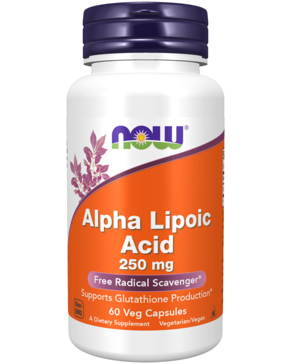 Alpha Lipoic Acid 250 mg